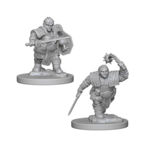 Nolzurs Marvelous Miniatures - Dwarf Fighter